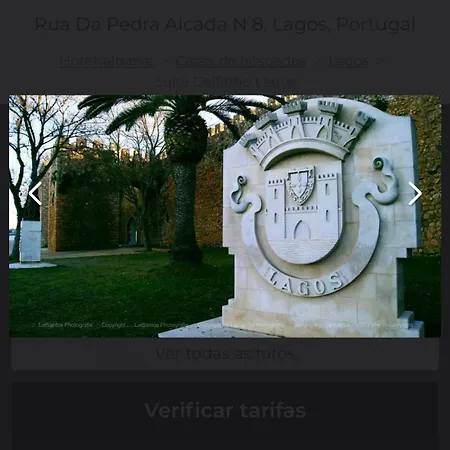 T1 Golfinho *